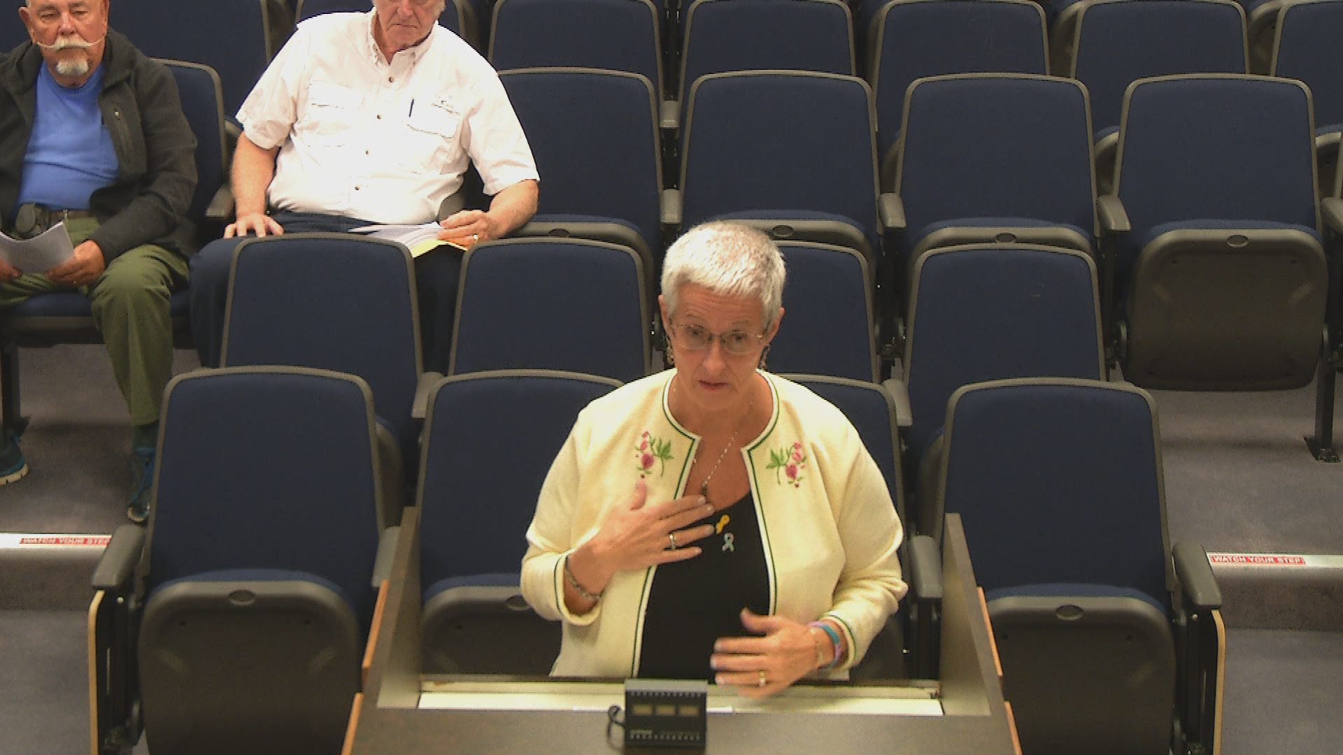 Thumbnail image for PP City Council November 14 2019