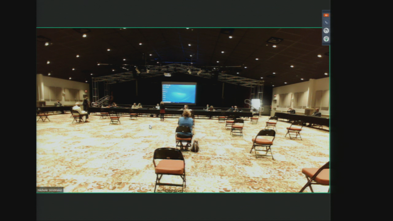 Thumbnail image for PP City Council November 24 2020
